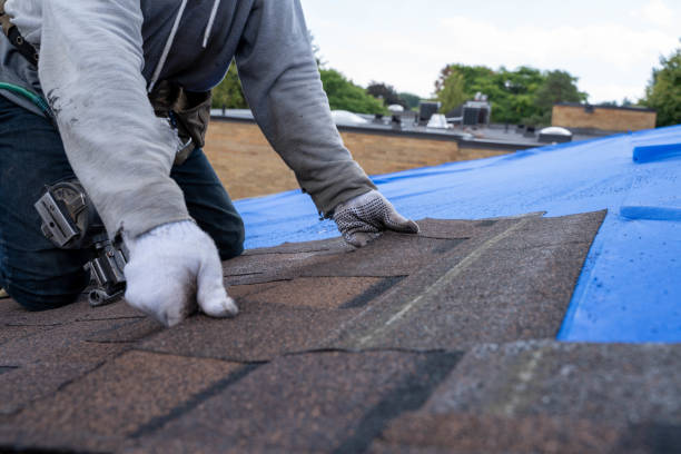 Best Flat Roofing  in New Castle, DE